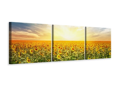 Ljuddämpande tavla - A Field Full Of Sunflowers