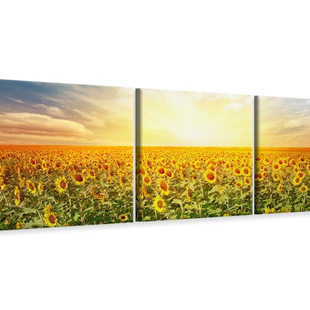 Ljuddämpande tavla - A Field Full Of Sunflowers