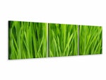Ljuddämpande tavla - Grass In Morning Dew