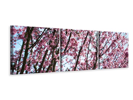 Ljuddämpande tavla - Japanese Cherry Blossom
