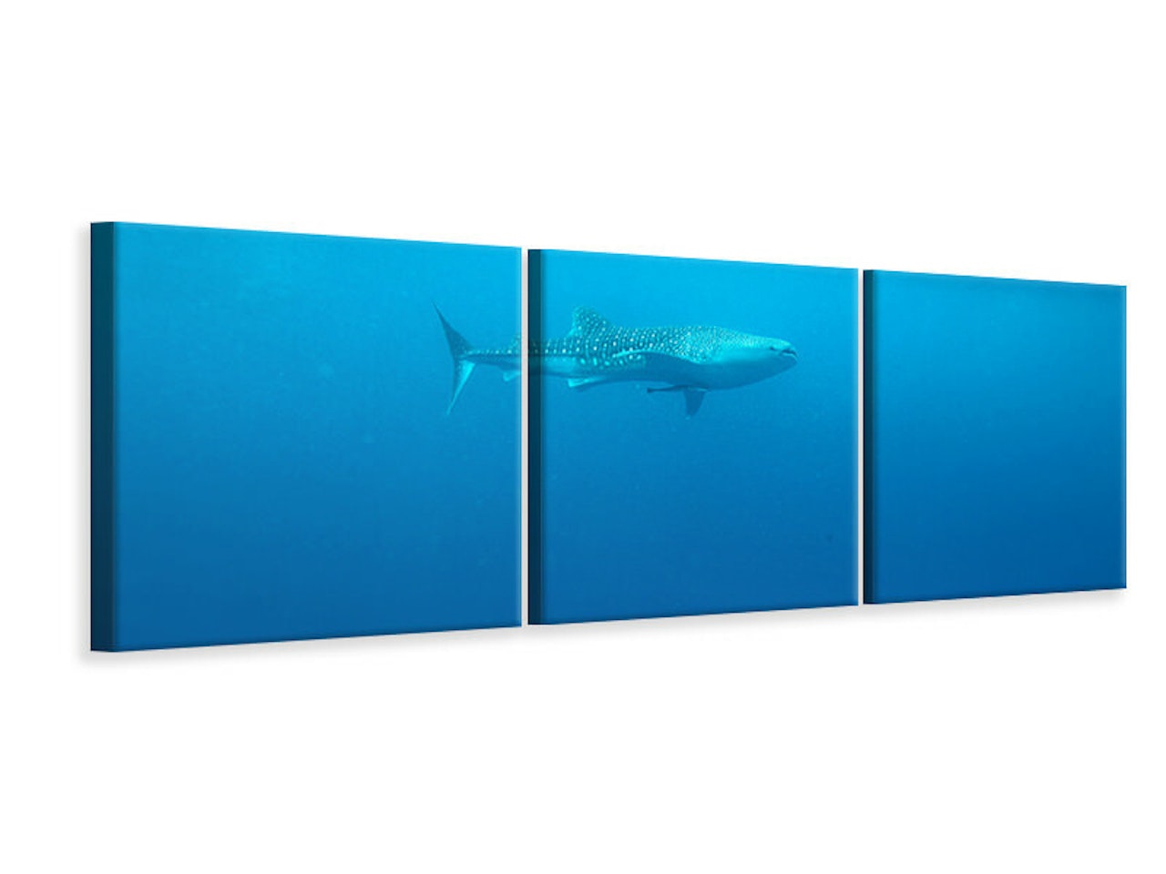 Ljuddämpande tavla - The Whale Shark