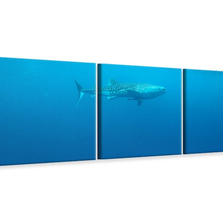 Ljuddämpande tavla - The Whale Shark