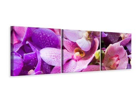 Ljuddämpande tavla - Orchid Paradise