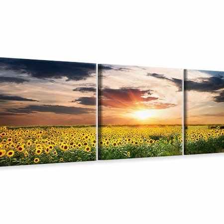 Ljuddämpande tavla - A Field Of Sunflowers