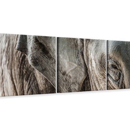 Ljuddämpande tavla - Close Up Elephant