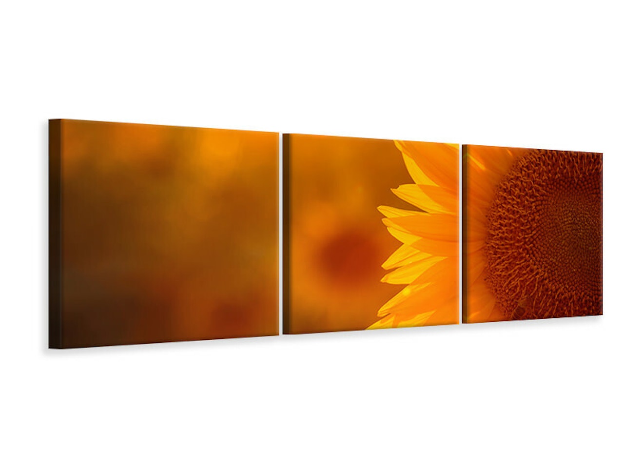 Ljuddämpande tavla - Macro Sunflower