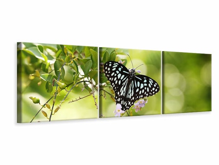 Ljuddämpande tavla - Papilio Butterfly XXL