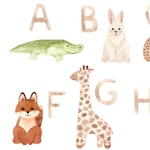 Rumsavdelare ljuddämpande 3-delad - Alphabet with animals