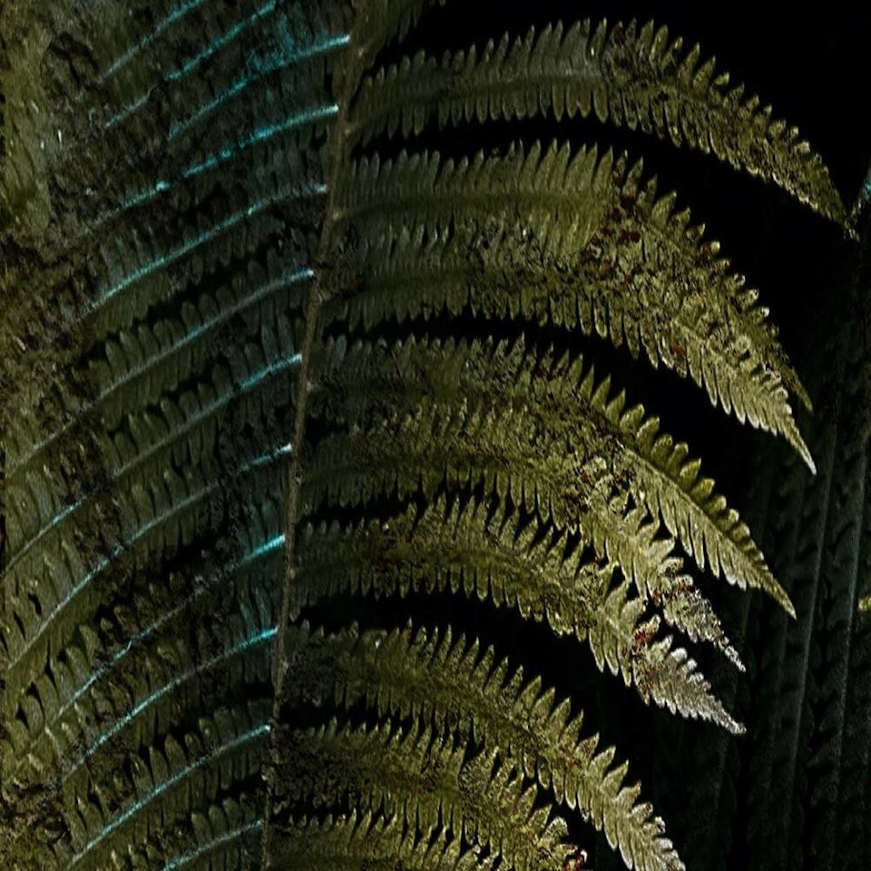 Rumsavdelare vridbar 3-delad - Leaf in darkness