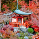Rumsavdelare 4-delad - Japanese style garden