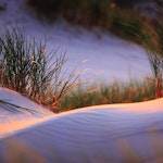 Rumsavdelare 4-delad - Dune at dawn
