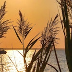 Rumsavdelare 4-delad - Sunset over the lake
