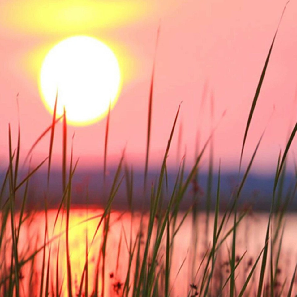 Rumsavdelare 4-delad - Sunset on the lake