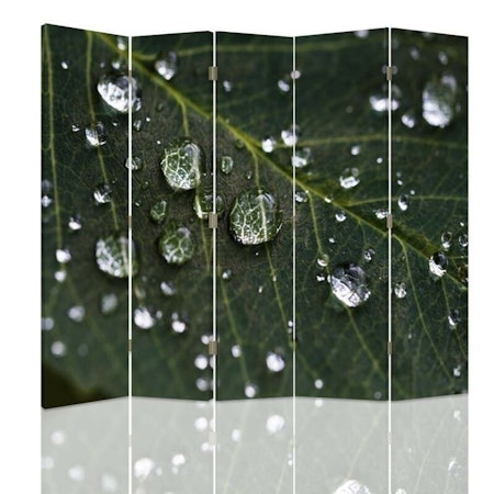 Rumsavdelare 5-delad - Raindrops on a leaf