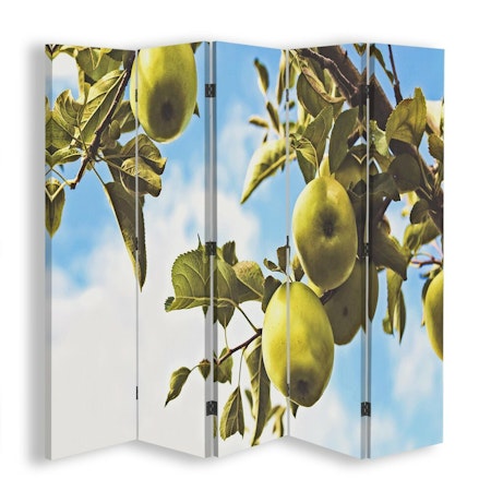 Rumsavdelare 5-delad - Apples on a branch