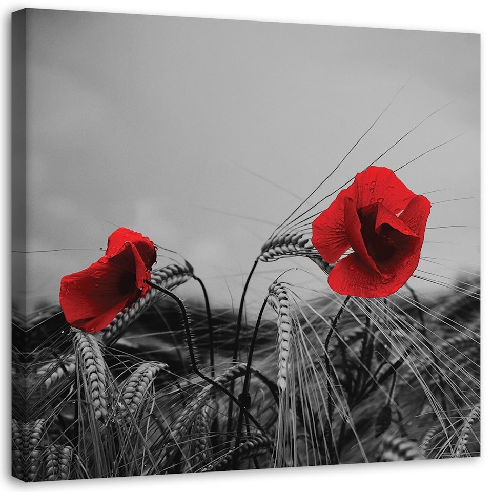 Ljuddämpande tavla - Red poppies and grain