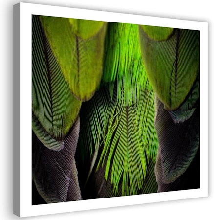 Ljuddämpande tavla "art" - Lime green feathers