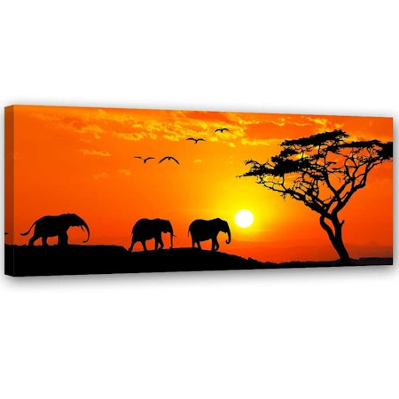 Ljuddämpande tavla - African savannah panorama