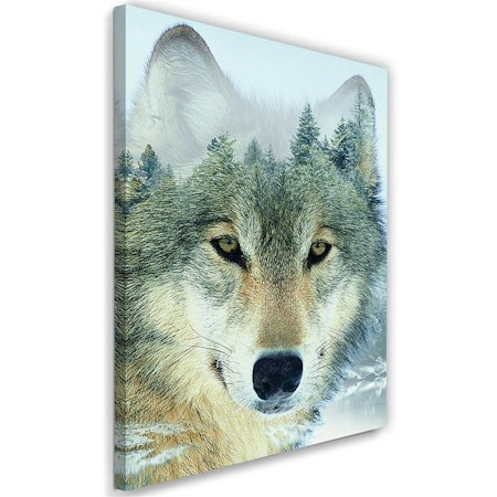 Ljuddämpande tavla - Wolf in the forest background