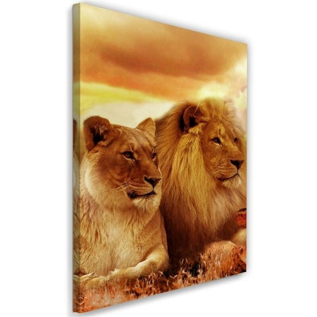 Ljuddämpande tavla - Lion king and lioness