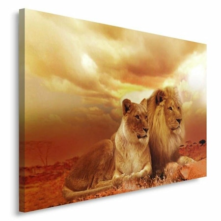 Ljuddämpande tavla - Lion couple