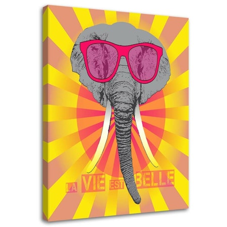 Ljuddämpande tavla - Elephant with glasses