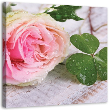 Ljuddämpande tavla - Rose and clover