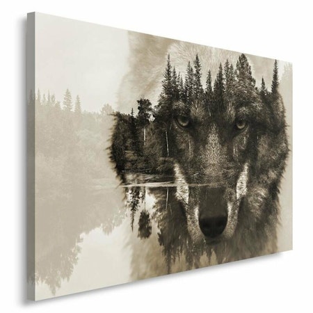 Ljuddämpande tavla - Wolf in front of a forest