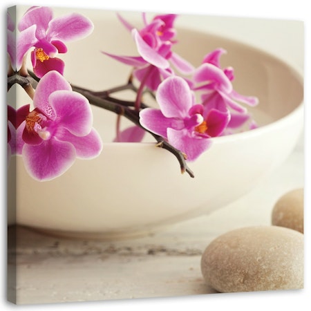 Ljuddämpande tavla - Pink orchids in a dish