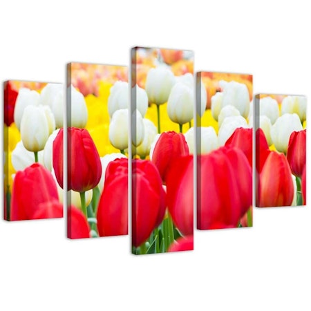 Ljuddämpande tavla - White and red tulips