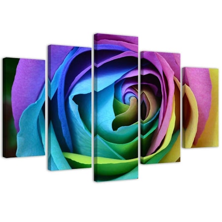 Ljuddämpande tavla - Colourful rose
