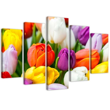 Ljuddämpande tavla - Colourful tulips