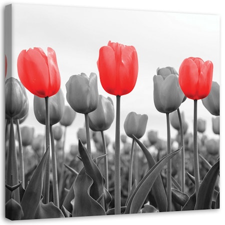 Ljuddämpande tavla - Red tulips on a meadow