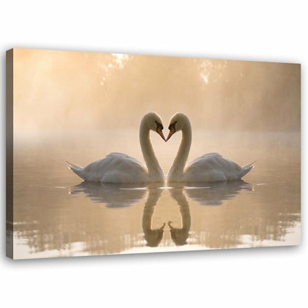 Ljuddämpande tavla - Swans on a pond in the morning