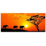 Ljuddämpande tavla - African savannah panorama