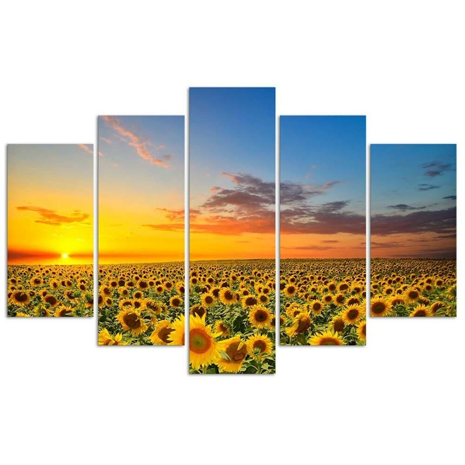 Ljuddämpande tavla - Sunflowers on a meadow