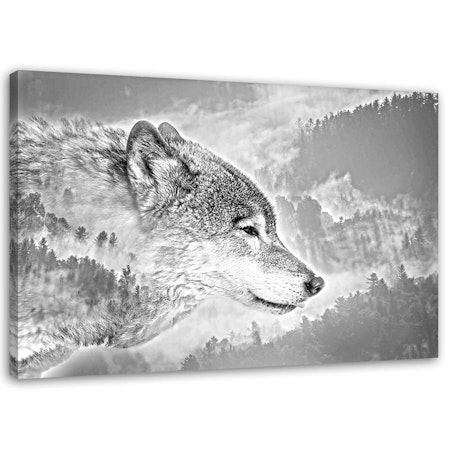 Ljuddämpande tavla - Wolf on a snow background