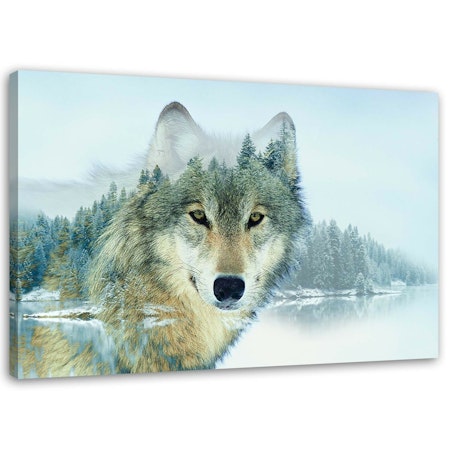 Ljuddämpande tavla - Wolf on a mountain background