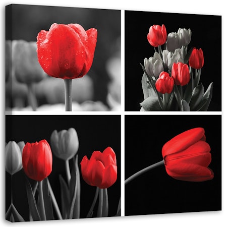 Ljuddämpande tavla - Set of red tulips