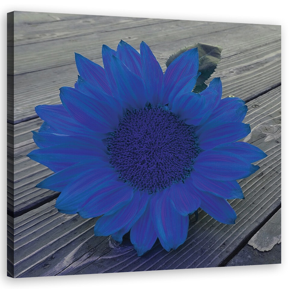 Ljuddämpande tavla - Blue sunflower