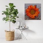 Ljuddämpande tavla - Orange sunflower