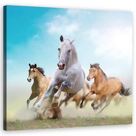 Ljuddämpande tavla "art" - Galloping horses