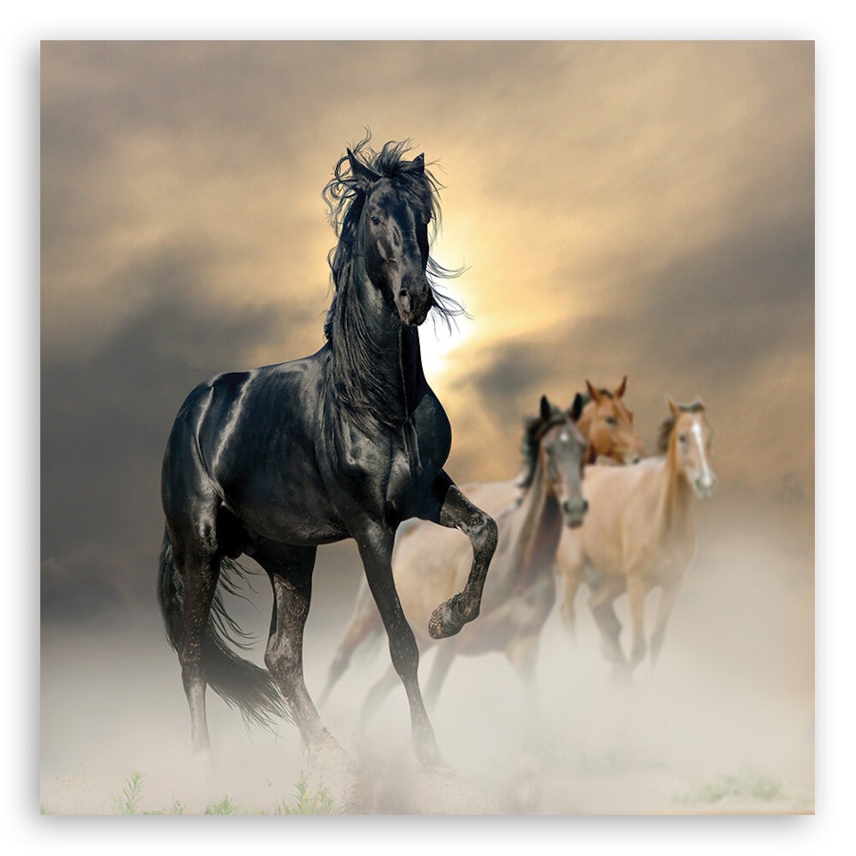 Ljuddämpande tavla - Herd of horses