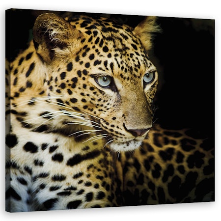 Ljuddämpande tavla - Majestic leopard