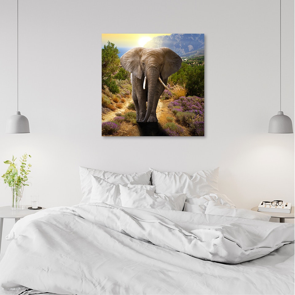 Ljuddämpande tavla - The elephant at sunset