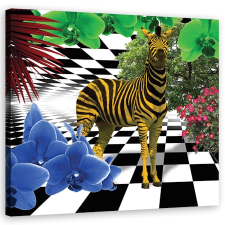 Ljuddämpande tavla - Colourful zebra