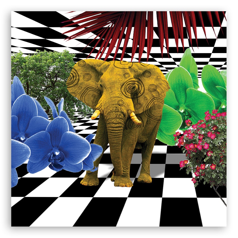 Ljuddämpande tavla - Colourful elephant