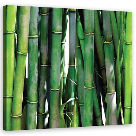Ljuddämpande tavla "art" - Green bamboos