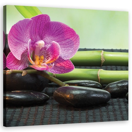 Ljuddämpande tavla - Orchid on black stones
