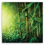 Ljuddämpande tavla - Jungle bamboo